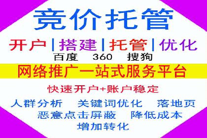 成功SEM服务案例分析报告